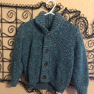 Tea Collection Toddler Sweater